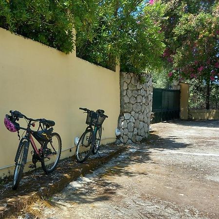 Olea Home Αγία Πελαγία Χλωμού Εξωτερικό φωτογραφία