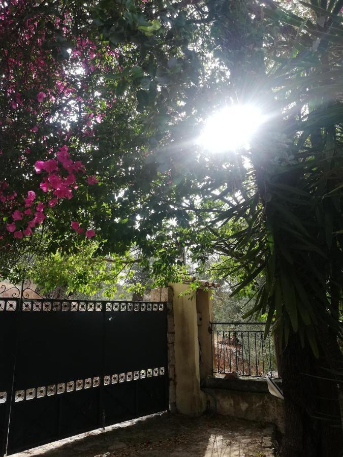 Olea Home Αγία Πελαγία Χλωμού Εξωτερικό φωτογραφία