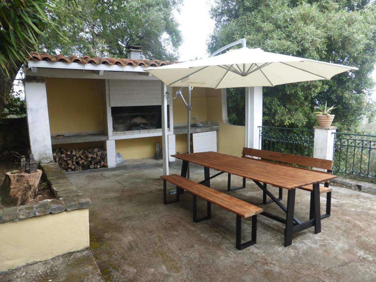 Olea Home Αγία Πελαγία Χλωμού Εξωτερικό φωτογραφία