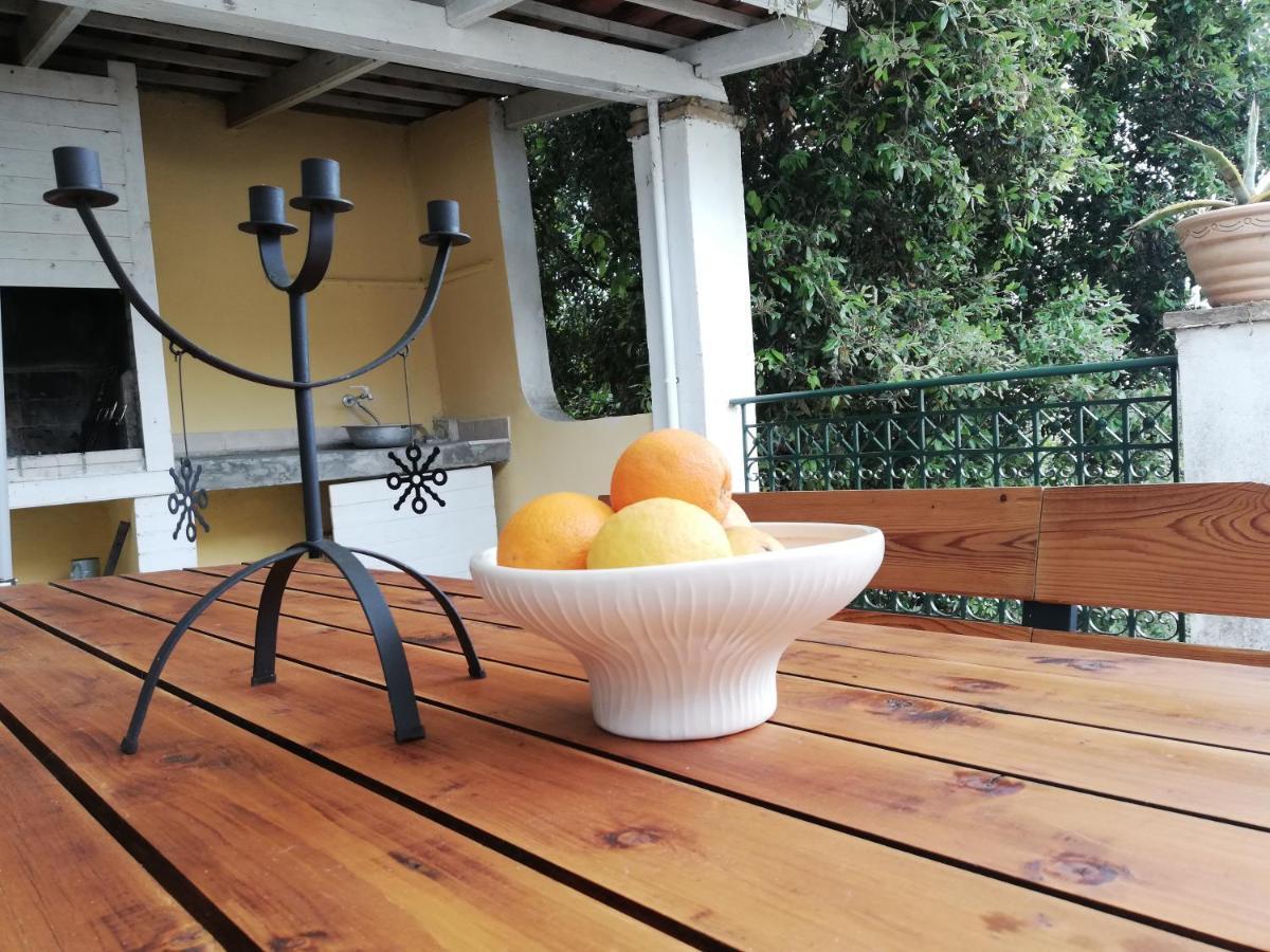 Olea Home Αγία Πελαγία Χλωμού Εξωτερικό φωτογραφία