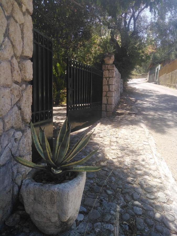 Olea Home Αγία Πελαγία Χλωμού Εξωτερικό φωτογραφία
