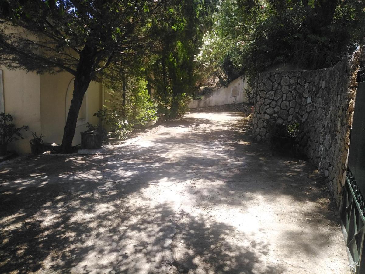 Olea Home Αγία Πελαγία Χλωμού Εξωτερικό φωτογραφία