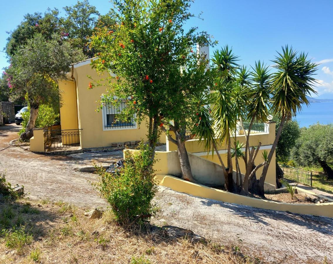 Olea Home Αγία Πελαγία Χλωμού Εξωτερικό φωτογραφία