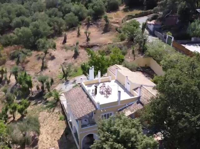 Olea Home Αγία Πελαγία Χλωμού Εξωτερικό φωτογραφία